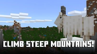 Minecraft: Dream it, Build it! screenshot 8