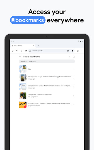 Chrome Dev screenshot 16
