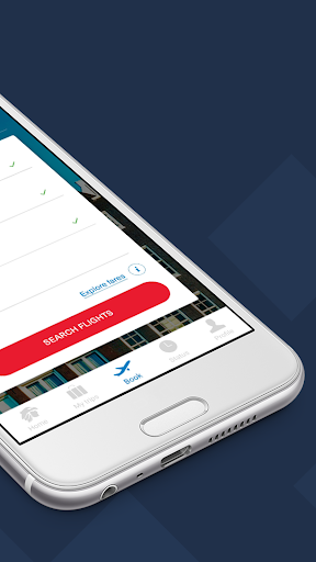 Aeromexico screenshot 2