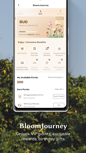 BloomChic | A Re-Imagining screenshot 4