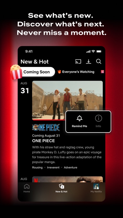 Netflix screenshot 1