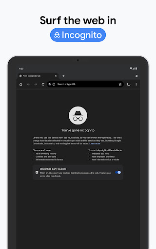 Chrome Dev screenshot 22