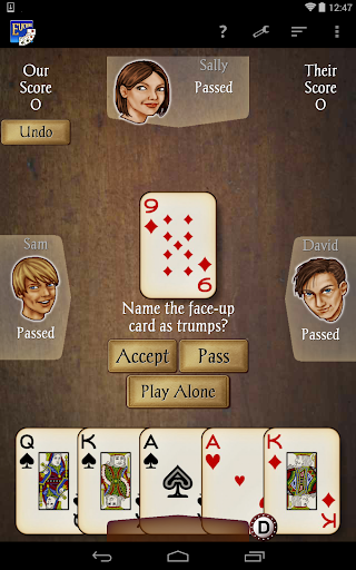 Euchre Pro screenshot 11