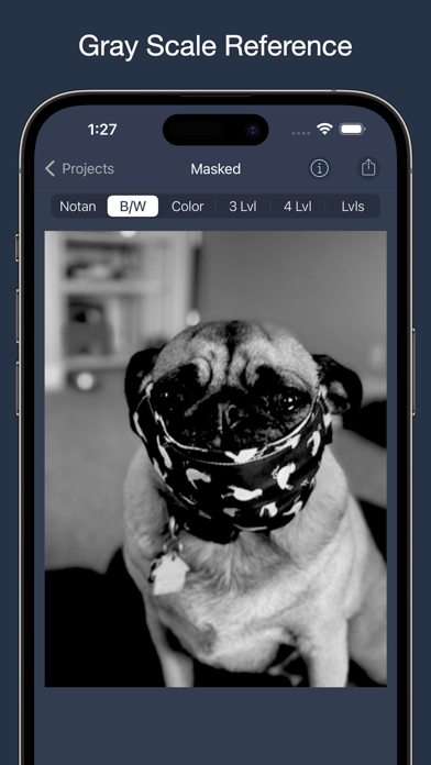 NotanIzer screenshot 3