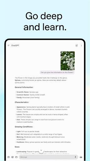 ChatGPT screenshot 16