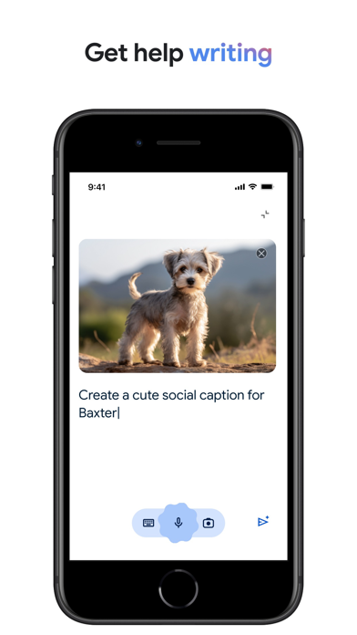 Google Lens screenshot 4