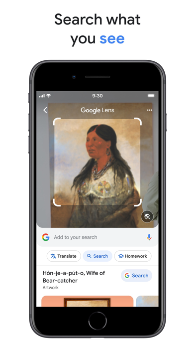 Google Lens screenshot 6