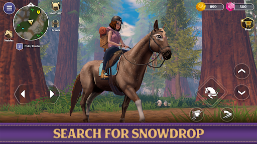 Star Equestrian - Horse Ranch screenshot 27