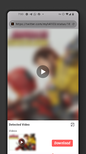 Video Browser screenshot 4