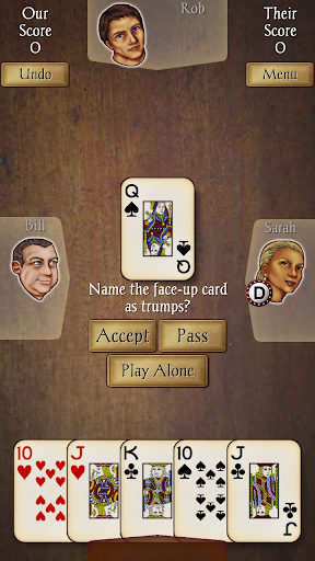 Euchre Pro screenshot 3