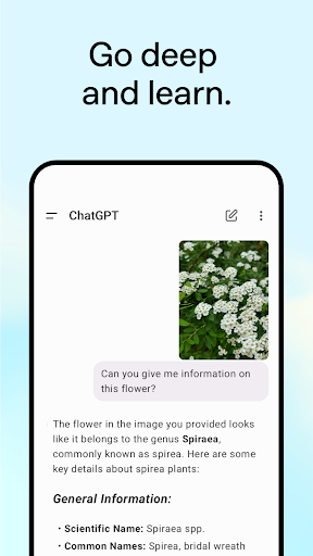 ChatGPT screenshot 4