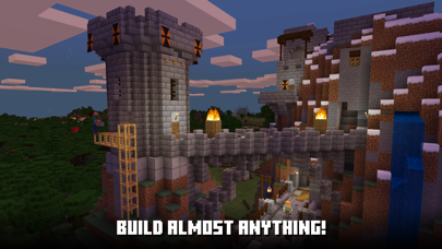Minecraft: Dream it, Build it! screenshot 2