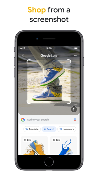 Google Lens screenshot 2