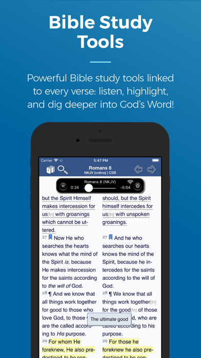 Blue Letter Bible screenshot 1