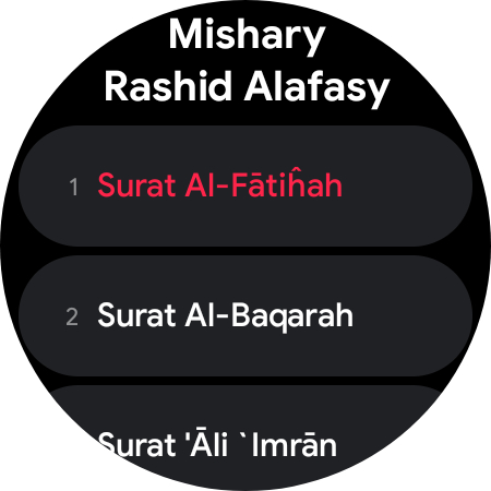 Quran Pro - القران الكريم screenshot 29