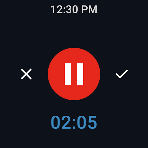 Easy Voice Recorder Pro screenshot 13