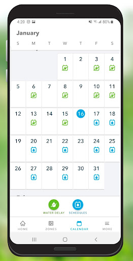 Rachio screenshot 2