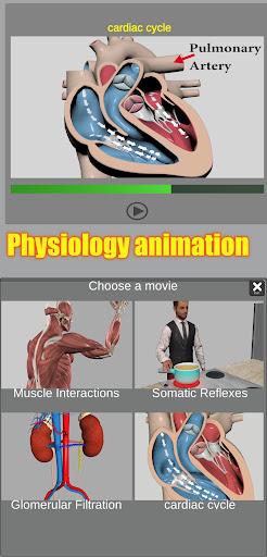 3D Anatomy screenshot 11