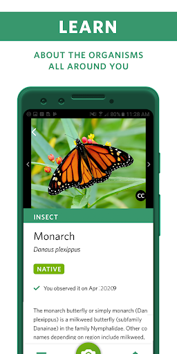 Seek by iNaturalist screenshot 1