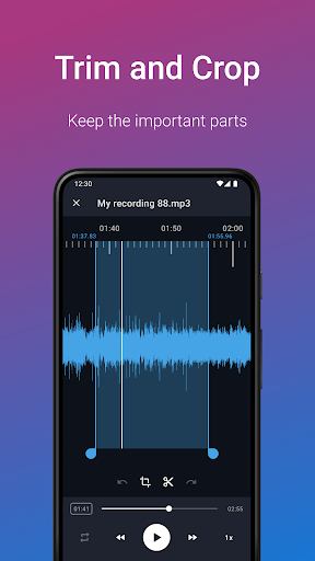 Easy Voice Recorder Pro screenshot 12