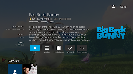 Jellyfin for Android TV screenshot 4