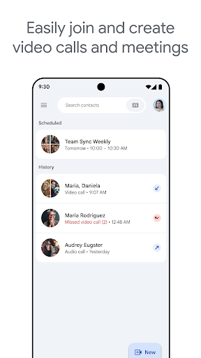 Google Meet screenshot 4