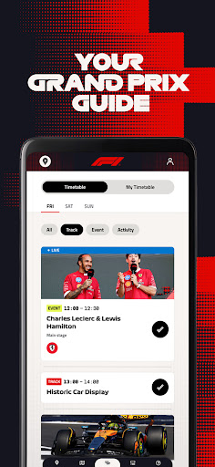 Formula 1® screenshot 13