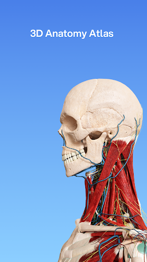 VOKA 3D Anatomy and Physiology screenshot 24