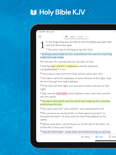 Holy Bible King James + Audio screenshot 9