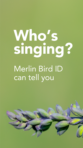 Merlin Bird ID by Cornell Lab screenshot 6