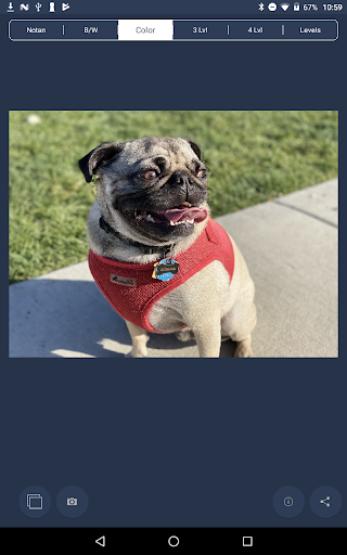 NotanIzer screenshot 17