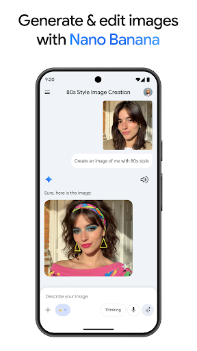 Google Gemini screenshot 1