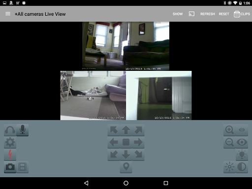 Blue Iris screenshot 2
