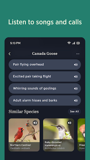 Audubon Bird Guide screenshot 3