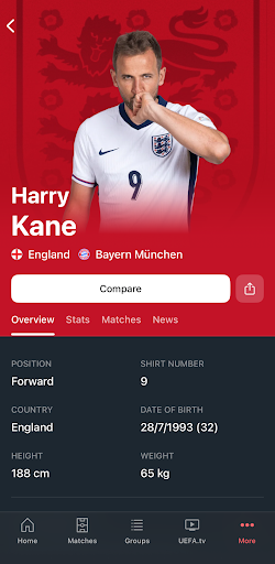 UEFA EURO & Nations League screenshot 7