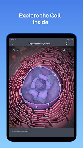 VOKA 3D Anatomy and Physiology screenshot 20