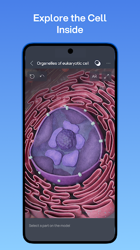 VOKA 3D Anatomy and Physiology screenshot 18