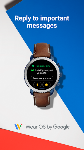 Wear OS by Google Smartwatch screenshot 13