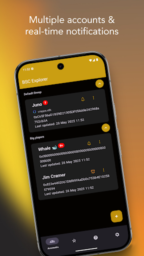 Binance Smart Chain Explorer screenshot 4