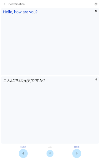 Google Translate screenshot 5