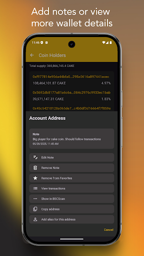 Binance Smart Chain Explorer screenshot 11