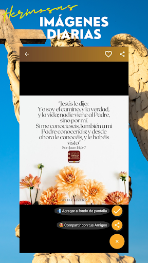 Biblia Católica en español screenshot 4