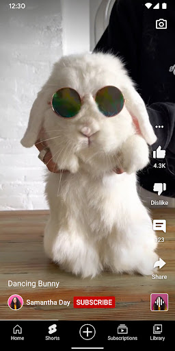 YouTube screenshot 4
