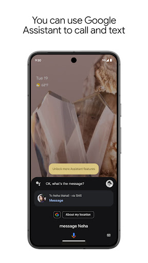 Google Assistant screenshot 1