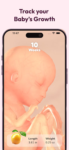 WeMoms Pregnancy Baby Tracker screenshot 3