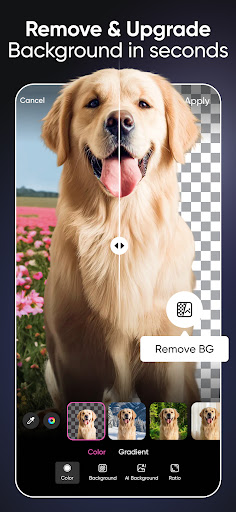 Picsart AI Photo Editor, Video screenshot 5