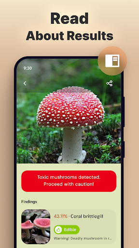 Mushroom Identification screenshot 10