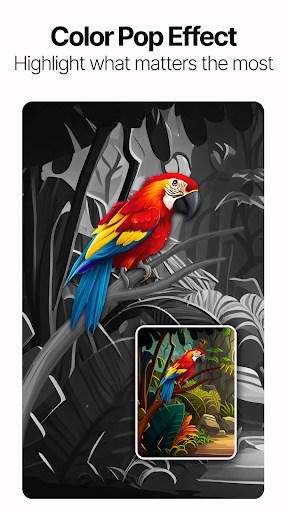 Photo App - AI Photo Enhancer screenshot 12