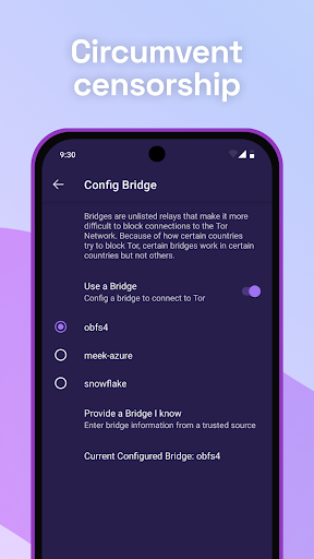 Tor Browser screenshot 4