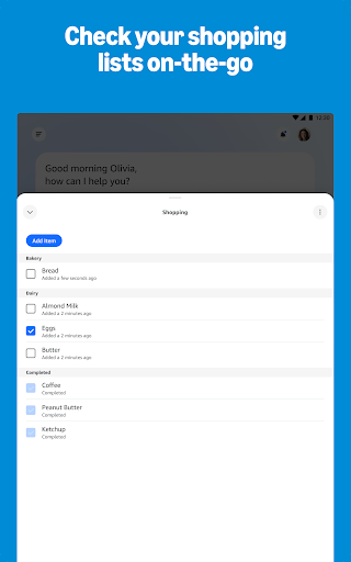 Amazon Alexa screenshot 12